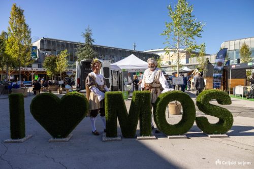 RD2 3066-Rok-Dezelak-RD2.si 