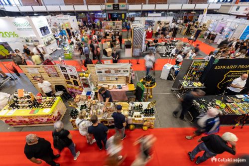 RD2 3386-Rok-Dezelak-RD2.si 