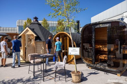 RD2 3461-Rok-Dezelak-RD2.si 