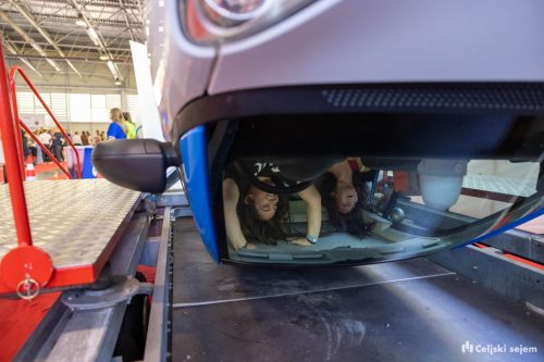 RD2 3638-Rok-Dezelak-RD2.si 