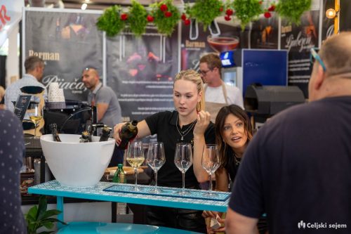 ARK 7989-Rok-Dezelak-RD2.si 