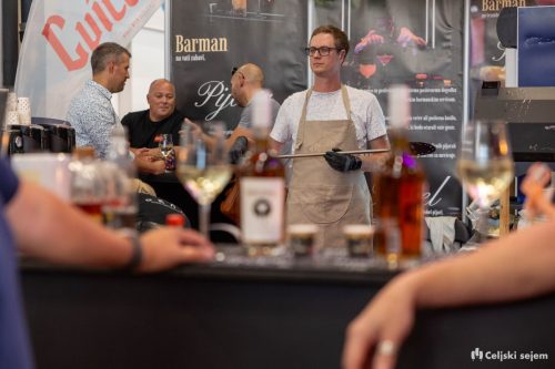 ARK 7993-2-Rok-Dezelak-RD2.si 