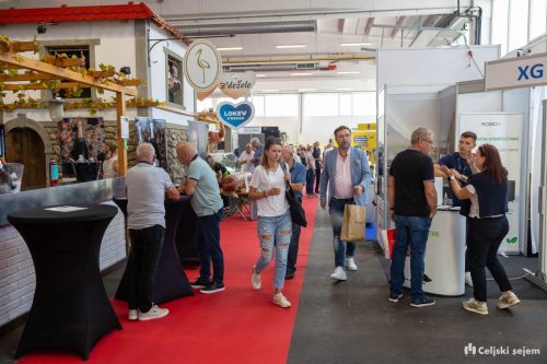 ARK 8005-2-Rok-Dezelak-RD2.si 