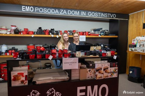 ARK 8186-Rok-Dezelak-RD2.si 