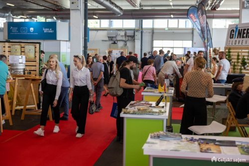 ARK 8199-Rok-Dezelak-RD2.si 