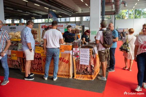 ARK 8216-Rok-Dezelak-RD2.si 