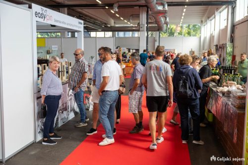 ARK 8242-Rok-Dezelak-RD2.si 