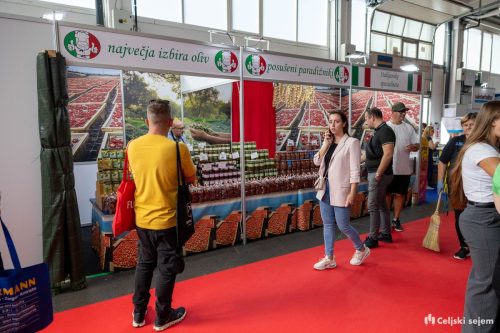 ARK 8258-Rok-Dezelak-RD2.si 