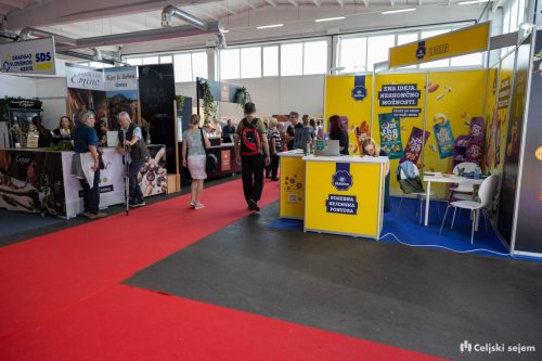 ARK 8263-Rok-Dezelak-RD2.si 