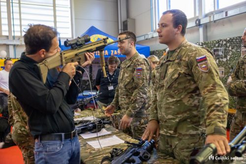 RD2 3981-Rok-Dezelak-RD2.si 