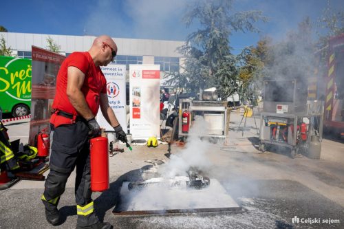 RD2 4066-Rok-Dezelak-RD2.si 