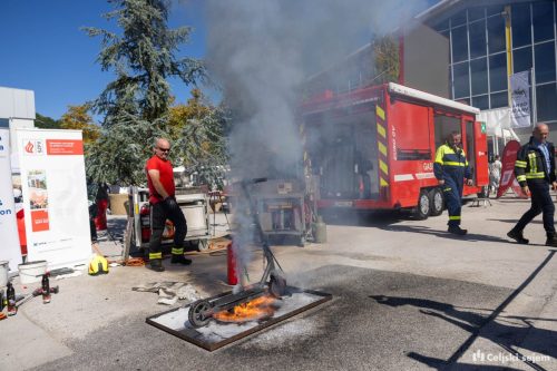 RD2 4051-Rok-Dezelak-RD2.si 