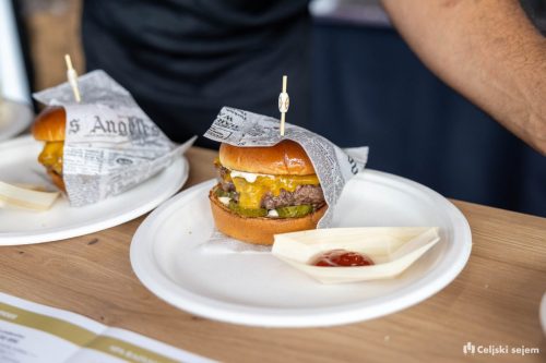 RD2 4664-Rok-Dezelak-RD2.si 