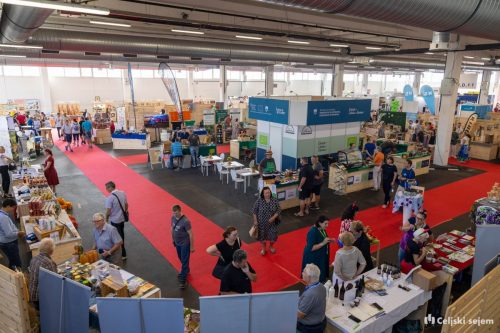 RD2 4683-Rok-Dezelak-RD2.si 