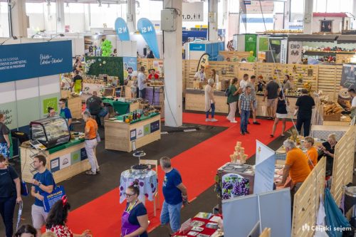 RD2 4684-Rok-Dezelak-RD2.si 