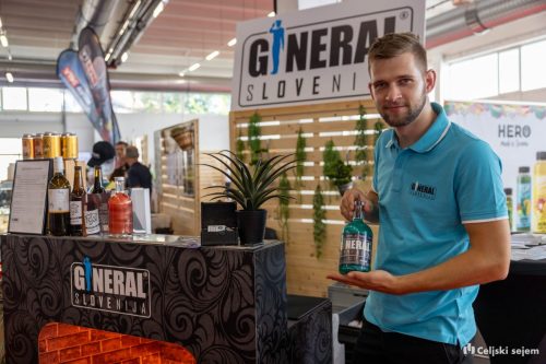 RD2 4701-Rok-Dezelak-RD2.si 