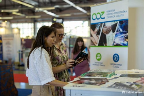 RD2 8628-Rok-Dezelak-RD2.si 