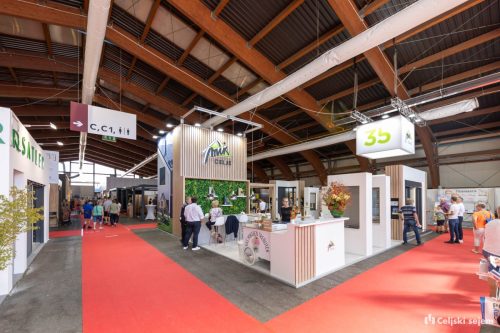 RD2 8705-Rok-Dezelak-RD2.si 